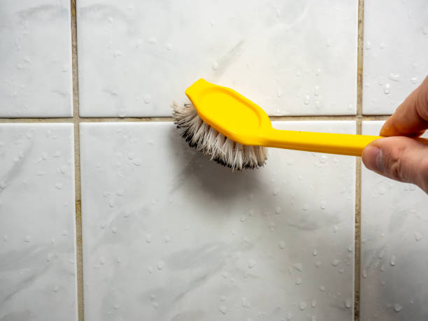 Reliable Lake In The Hills, IL Mold Removal Solutions