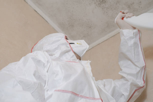 Best Mold Removal Near Me  in Lake In The Hls, IL