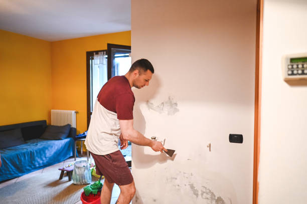 Best Office Mold Removal Services  in Lake In The Hls, IL
